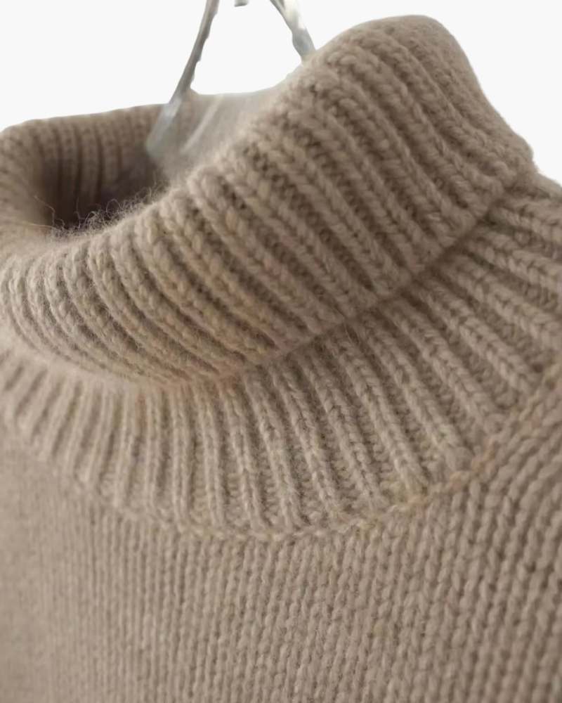 Daryana - Soft Turtleneck Sweater