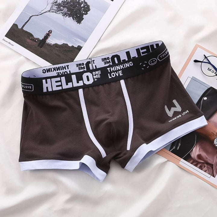 Gerwin - Waistband Comfortable Boxer Underwear
