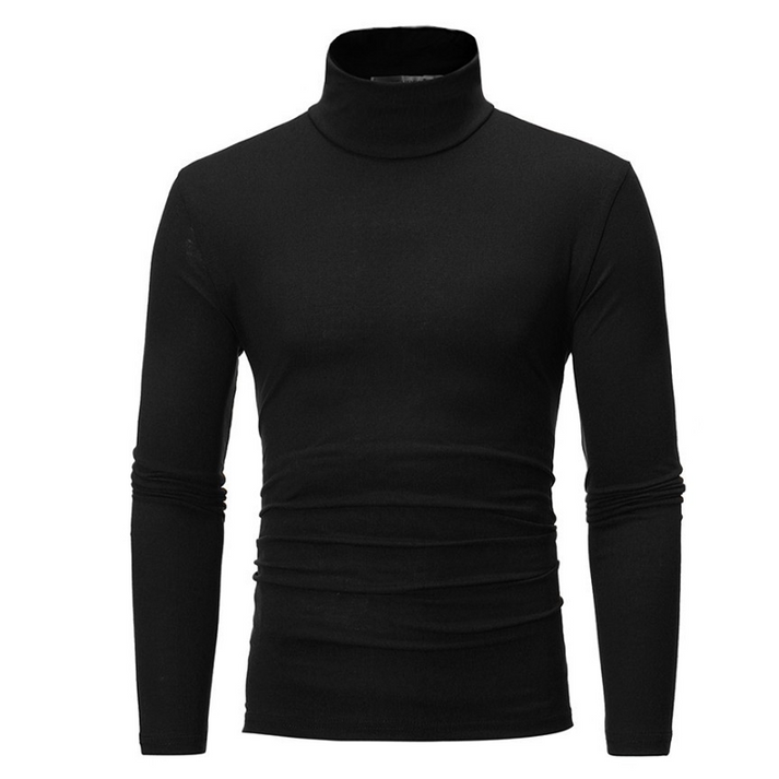 Laurita - Fitted Faux Turtleneck Top
