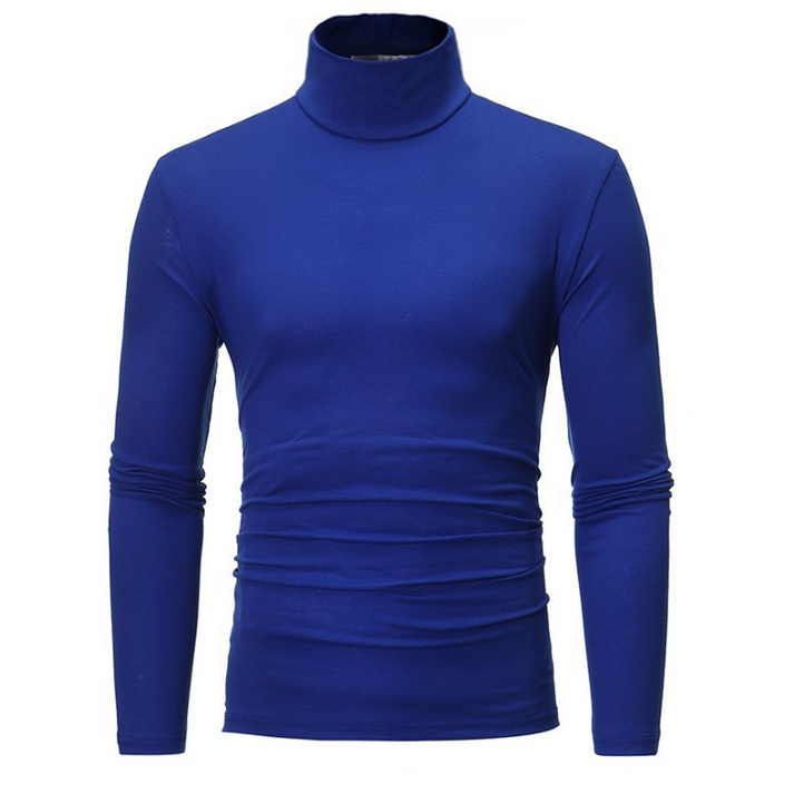 Laurita - Fitted Faux Turtleneck Top