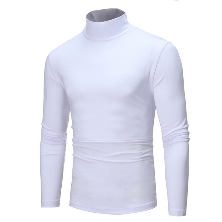 Laurita - Fitted Faux Turtleneck Top