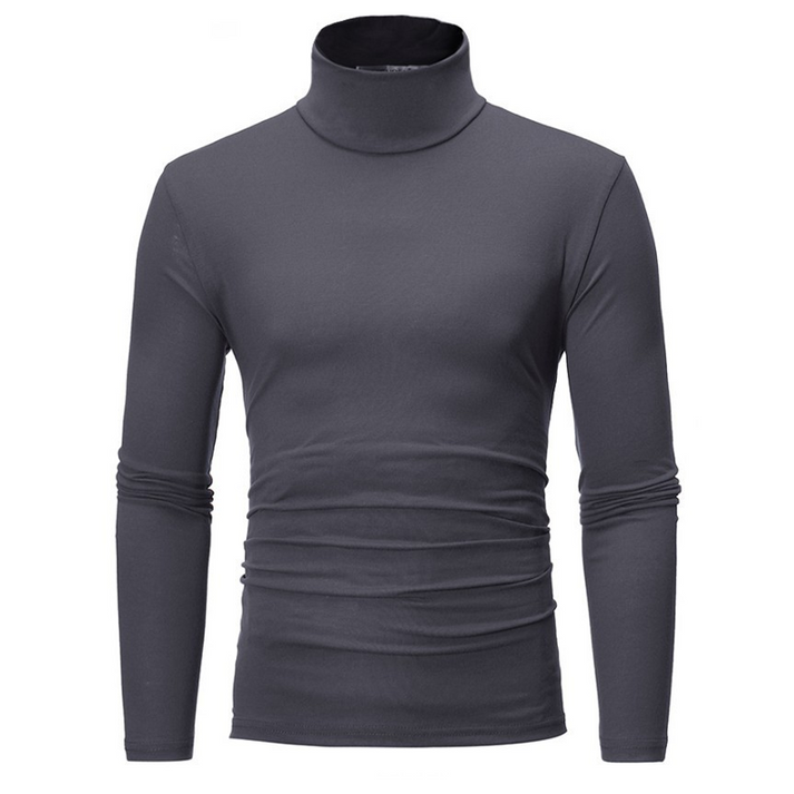 Laurita - Fitted Faux Turtleneck Top
